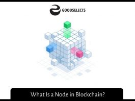 What Is a Node in Blockchain? What Is a Node in Blockchain?
