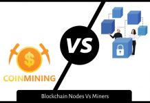 Blockchain Nodes Vs Miners