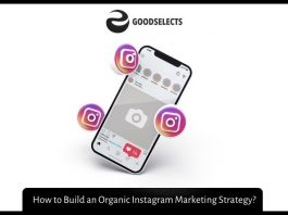 How to Build an Organic Instagram Marketing Strategy?