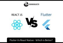 Flutter Vs React Native - Which is Better?