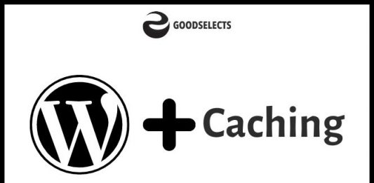 The Best Cache Plugin For WordPress The Best Cache Plugin For WordPress