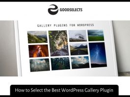 How to Select the Best WordPress Gallery Plugin ?