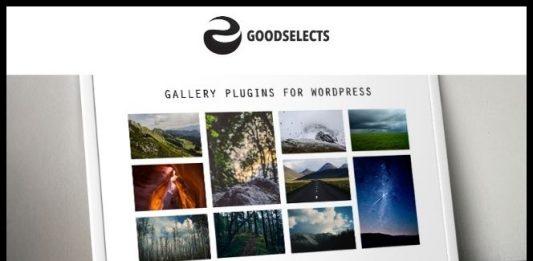 How to Select the Best WordPress Gallery Plugin ? How to Select the Best WordPress Gallery Plugin ?