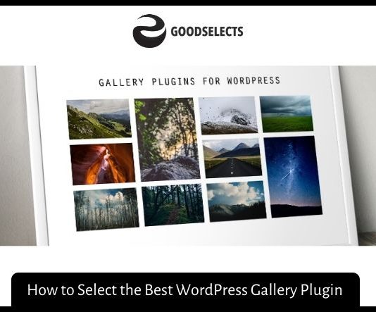 How to Select the Best WordPress Gallery Plugin ?