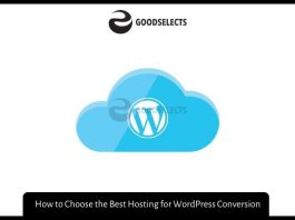 How to Choose the Best Hosting for WordPress Conversion