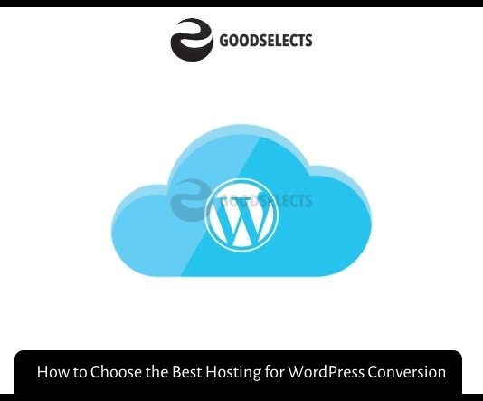 How to Choose the Best Hosting for WordPress Conversion