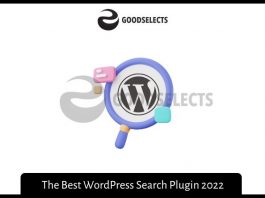 The Best WordPress Search Plugin 2022