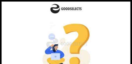 Should I Learn HTML First?