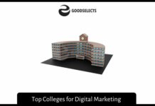 Top Colleges for Digital Marketing
