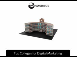 Top Colleges for Digital Marketing