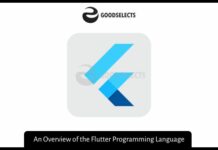 An Overview of the Flutter Programming Language