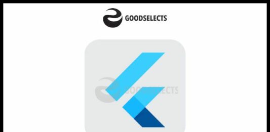 An Overview of the Flutter Programming Language