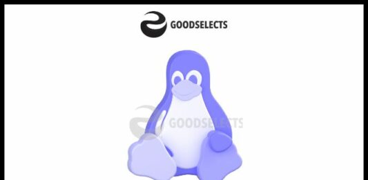 Best Linux for Windows Users