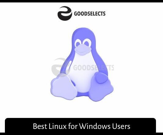 Best Linux for Windows Users