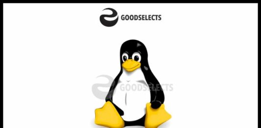 The Best Looking Linux Distributions 2022 The Best Looking Linux Distributions 2022