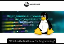 Which is the Best Linux For Programming?