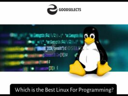 Which is the Best Linux For Programming?