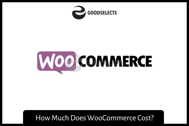 How Much Does WooCommerce Cost?