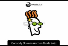 Godaddy Domain Auction Guide 2022