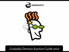 Godaddy Domain Auction Guide 2022