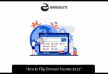 How to Flip Domain Names 2022?