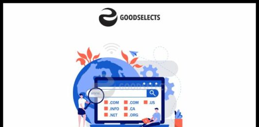 How to Flip Domain Names 2022?