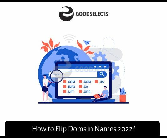 How to Flip Domain Names 2022? How to Flip Domain Names 2022?