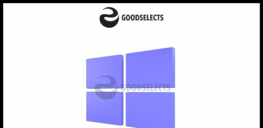 How to Check Windows Version?