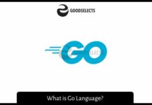 What is Go Language?