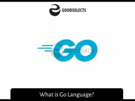 What is Go Language? What is Go Language?