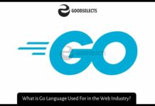 What is Go Language Used For in the Web Industry?