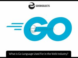 What is Go Language Used For in the Web Industry? What is Go Language Used For in the Web Industry?