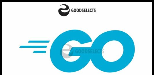 What is Go Language Used For in the Web Industry?