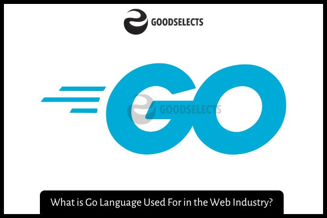 What is Go Language Used For in the Web Industry?