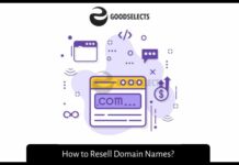 How to Resell Domain Names?