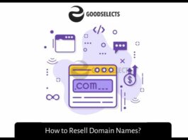 How to Resell Domain Names?