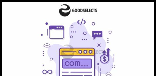 How to Resell Domain Names?