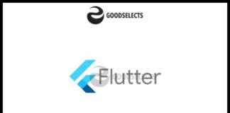 What Language is Flutter?