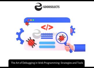 The Art of Debugging in Web Programming: Strategies and Tools