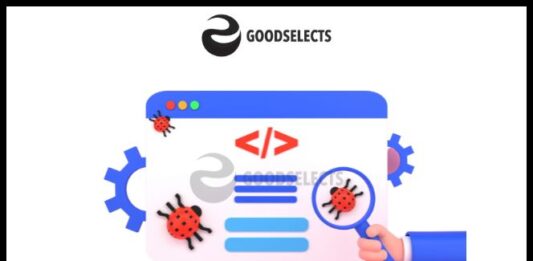The Art of Debugging in Web Programming: Strategies and Tools